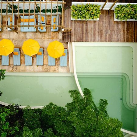Cafe Jeri Hotel Jijoca de Jericoacoara Exteriér fotografie The rooftop pool at the hotel